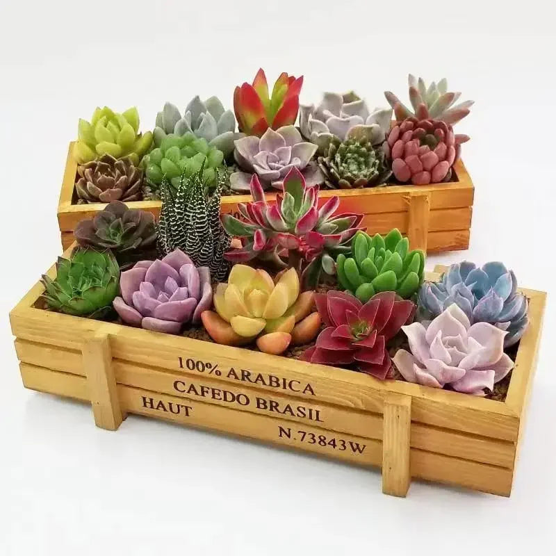 Garten-Pflanztopf-Aufbewahrungsbox aus Holz